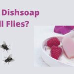 Does Dishsoap Kill Flies? Here’s What You Need To Know!