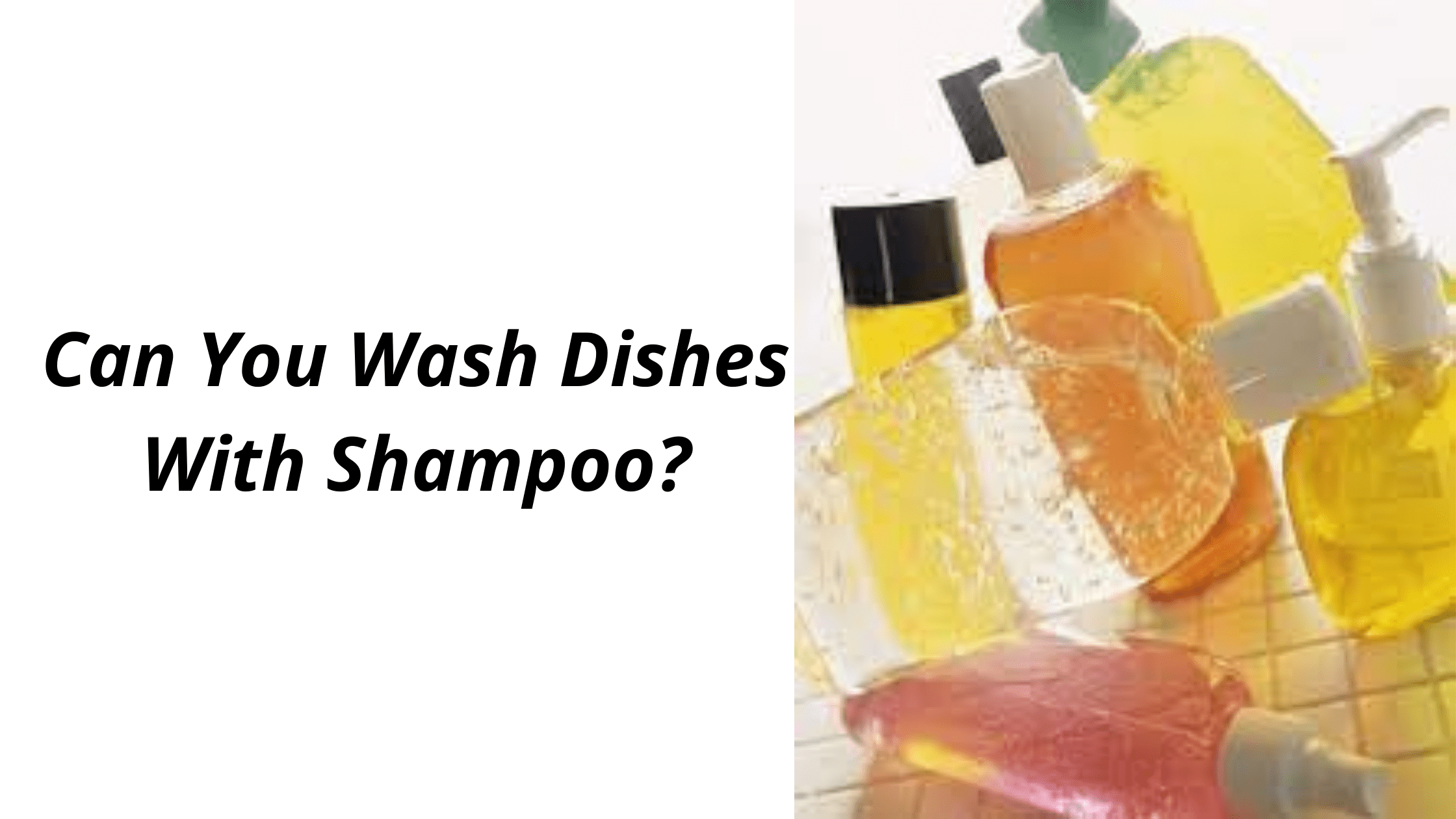 Can You Wash Dishes With Shampoo