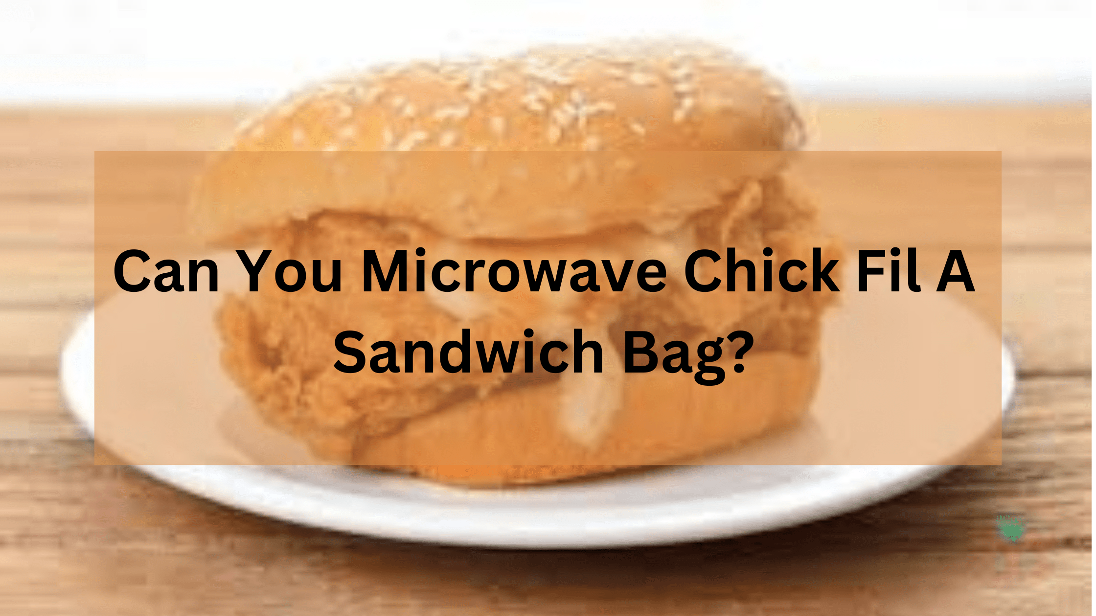Can You Microwave Chick Fil A Sandwich Bag?
