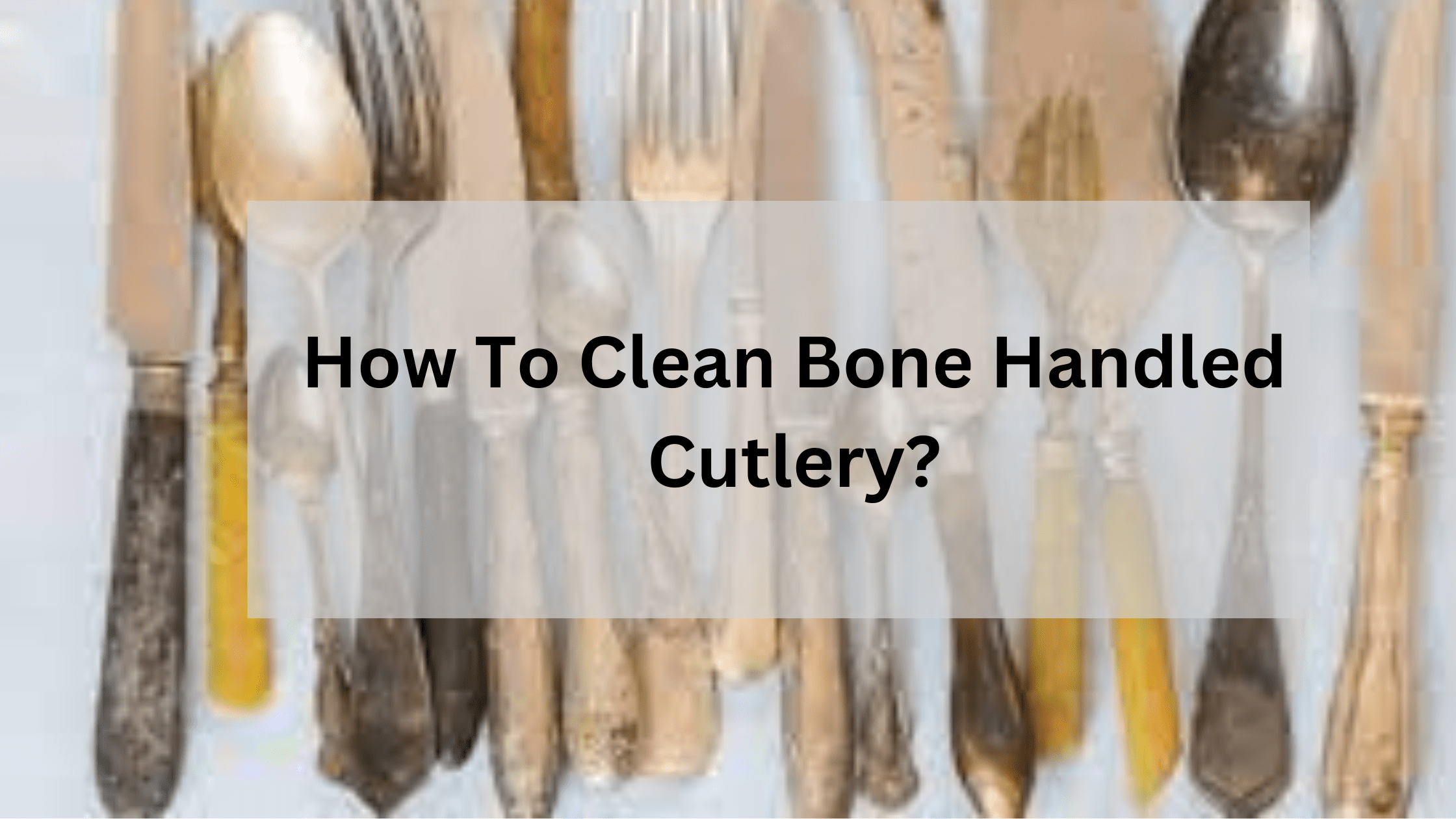How To Clean Bone Handled Cutlery?